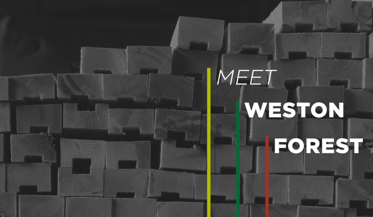 Meet Weston Forest